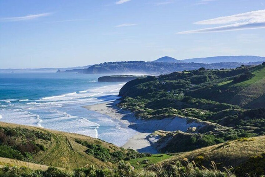 Dunedin&Peninsula Scenery Day Tour Sharing