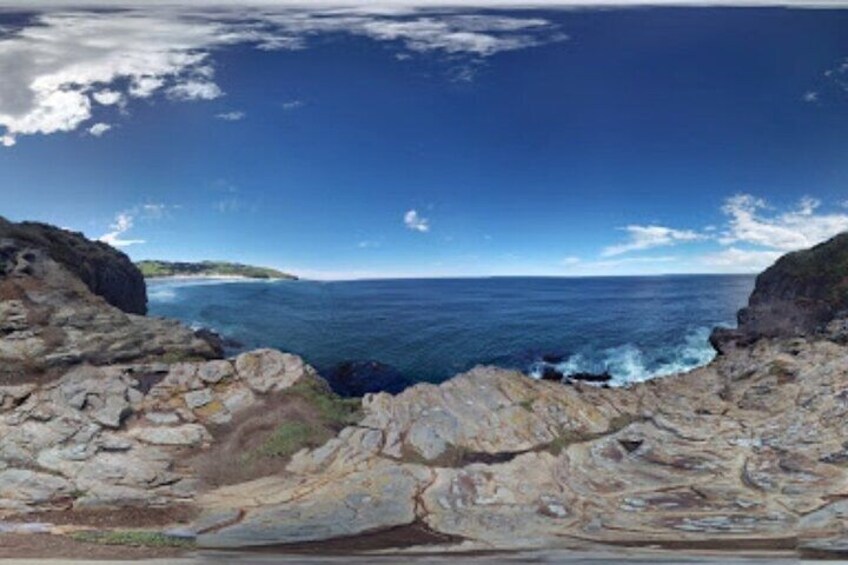 Private Dunedin&Peninsula Scenery and Wildlife Day Tour Sharing