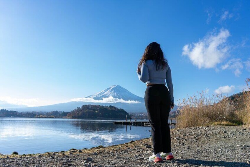 Mt. Fuji Private Sightseeing Tour with Photographer