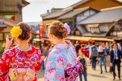 Excursión de un día al Templo Kiyomizu Fushimi Inari y el Parque Nara en Ki...