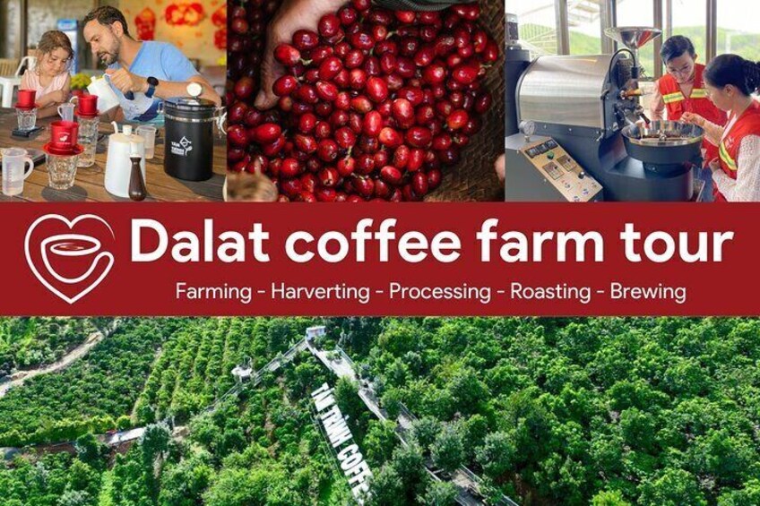 3 hours Gia Lâm Authentic Coffee Farm Activity