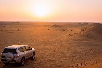 Morning Desert Safari, Dune Bashing, Sand Boarding and Camel Ride