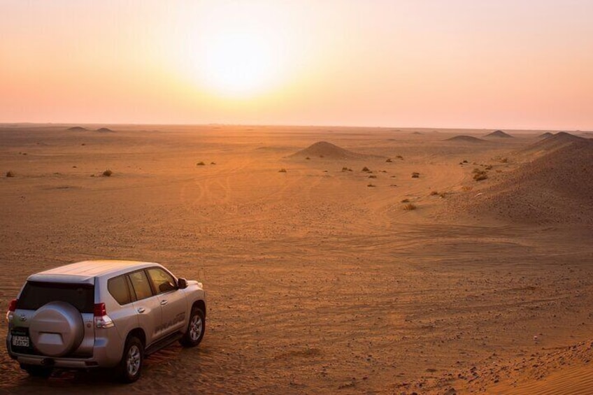 Falcon Morning Desert Safari