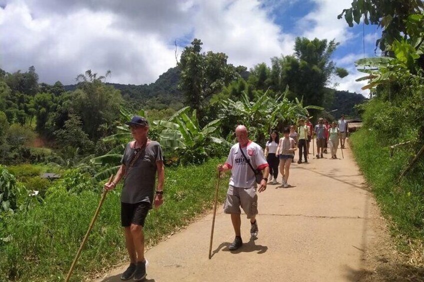 Nature Tour in Inthanon National Park From Chiang Mai
