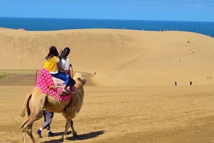 < free time > Tottori Sand Dunes, 2164-971 Fukubecho Yuyama, Tottori