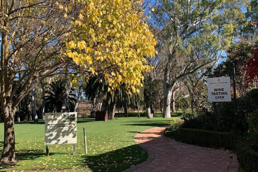 Barossa Valley Wineries Tour with Tastings, lunch for groups.