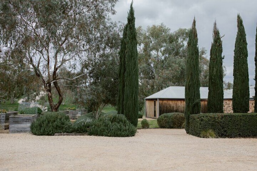 Barossa Valley Wineries Tour with Tastings from Adelaide