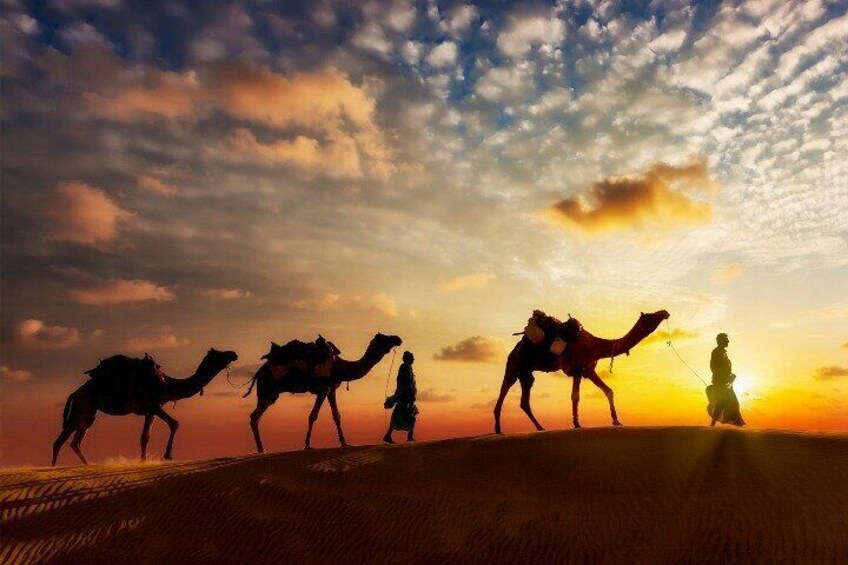 Agadir Sunset Camel Ride Tour with BBQ Dinner