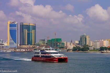 Dar Es Salaam city tour with private car