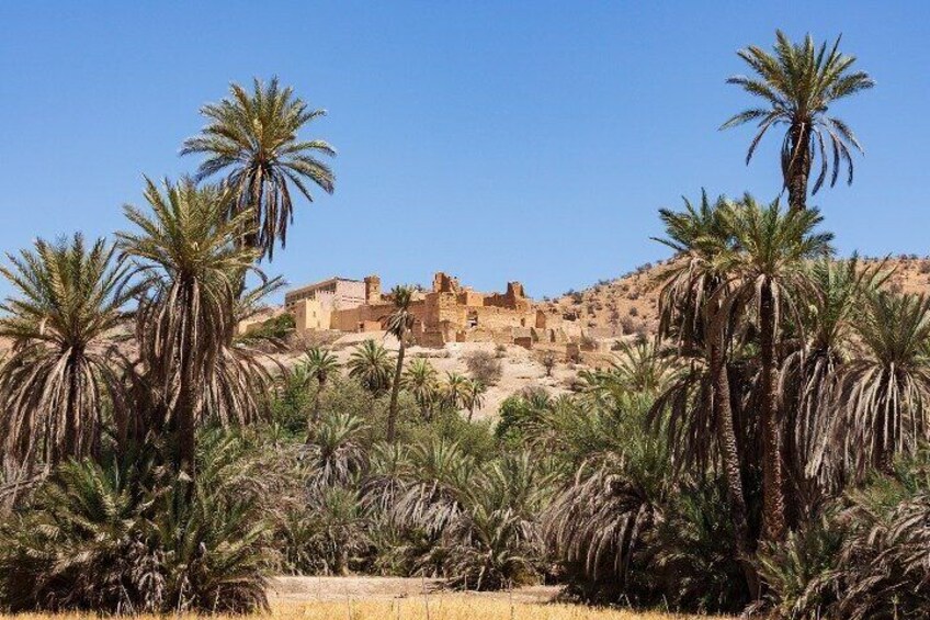 Taroudant and Tiout Day Trip from Agadir