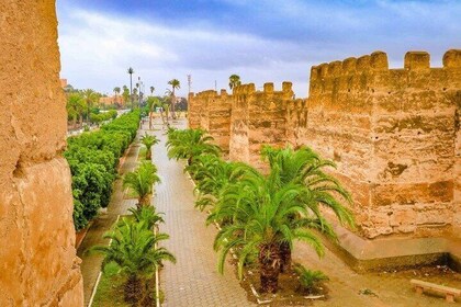 Taroudant and Tiout Day Trip from Agadir