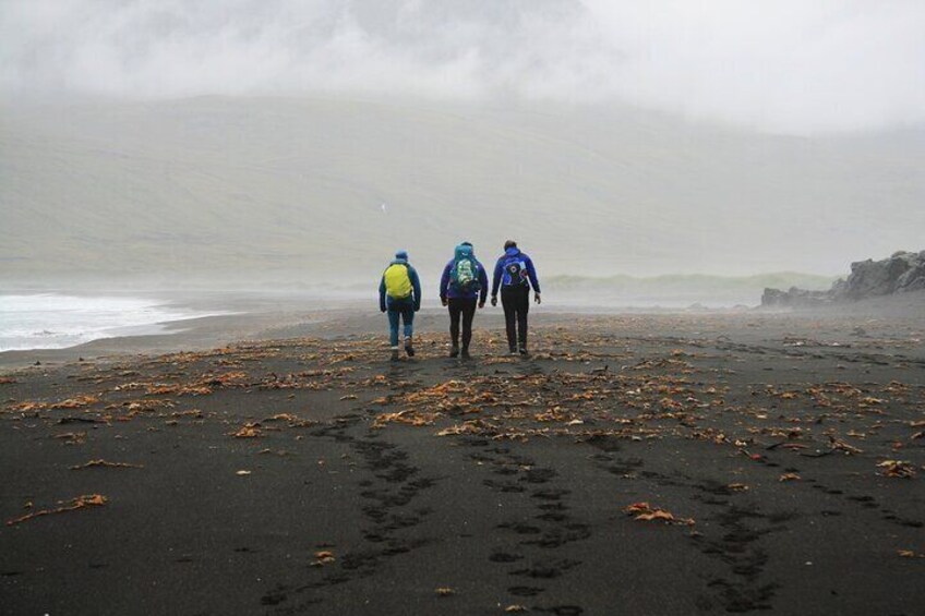 Private Guided Tour in Vöðlavík Black Beach