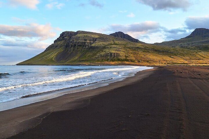 Private Guided Tour in Vöðlavík Black Beach