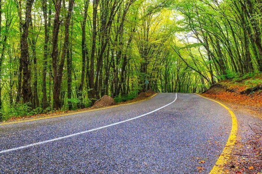 Guba Shahdag Azerbaijan Discover Nature’s Winter Wonderland