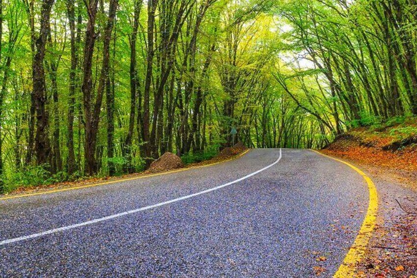 Guba Shahdag Azerbaijan Discover Nature’s Winter Wonderland