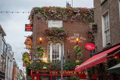 Christmas Photo Experience in Dublin