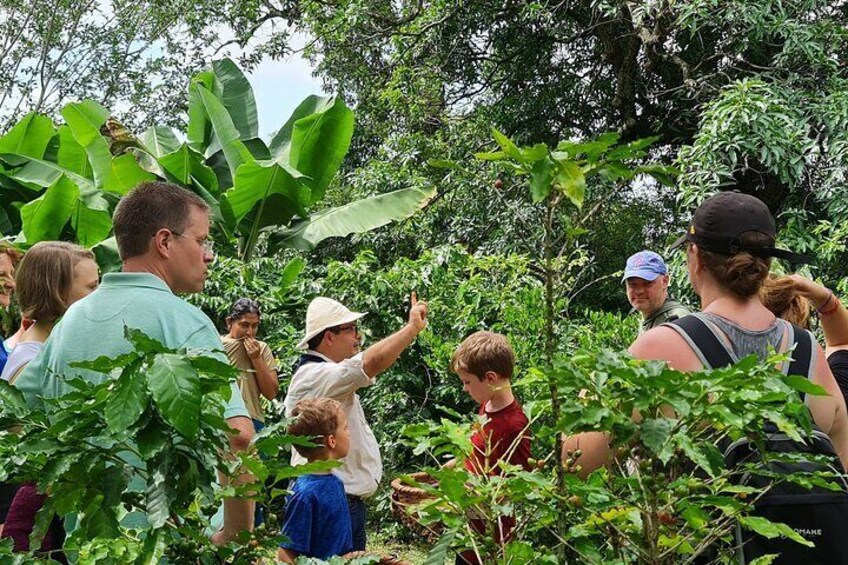 Tio Leo Coffee Tour