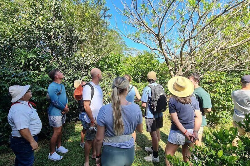 Tio Leo Coffee Tour