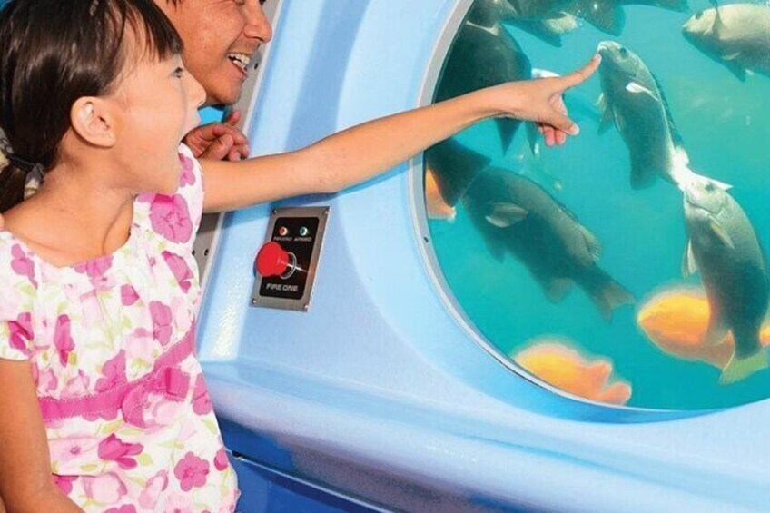 Underwater Wonders Semi Submarine Adventure in Hurghada