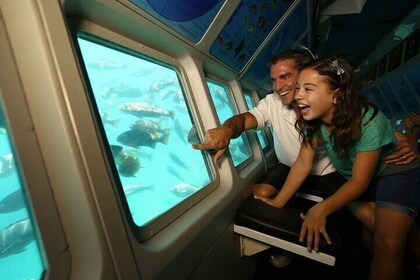 Semi Submarine Adventure in Hurghada