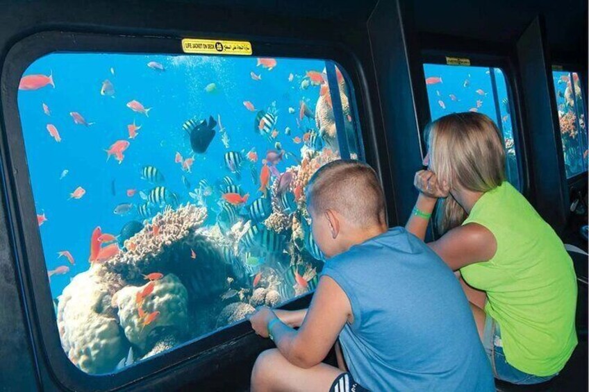 Underwater Wonders Semi Submarine Adventure in Hurghada