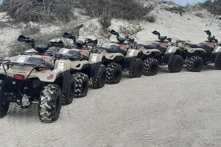 Private Tour to Table Mountain and Atlantis Dunes