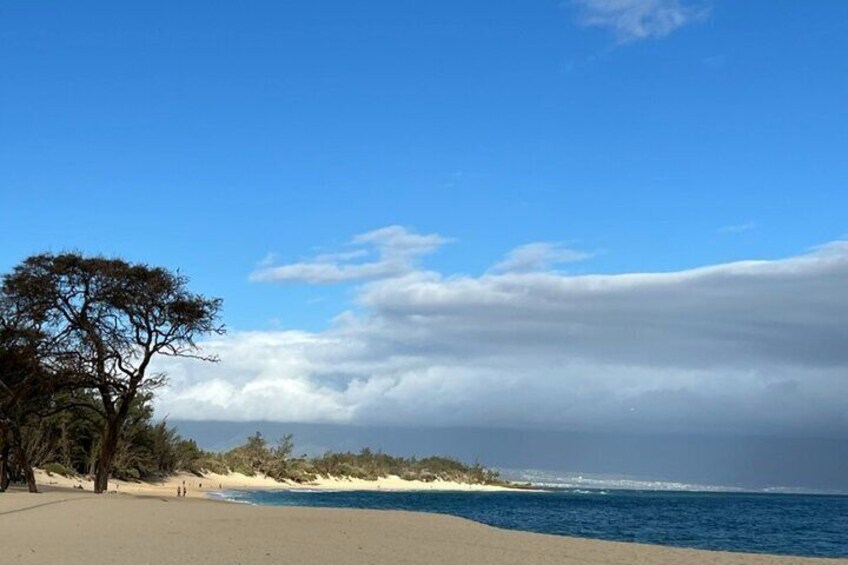 Maui Beach Hop