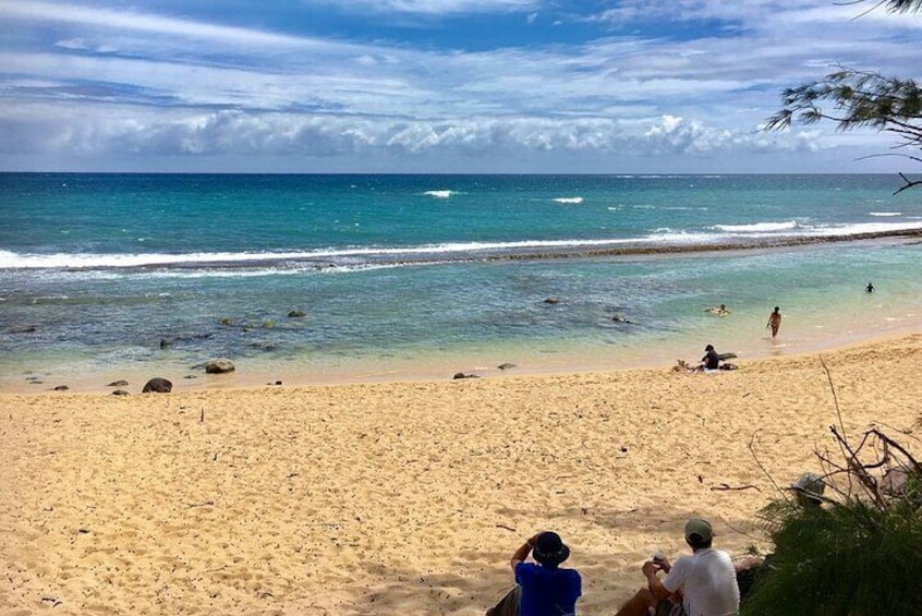 Maui Beach Hop