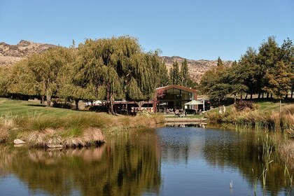 Private Central Otago Wine Tour-Cloudy Bay Shed Lunch & Amisfield