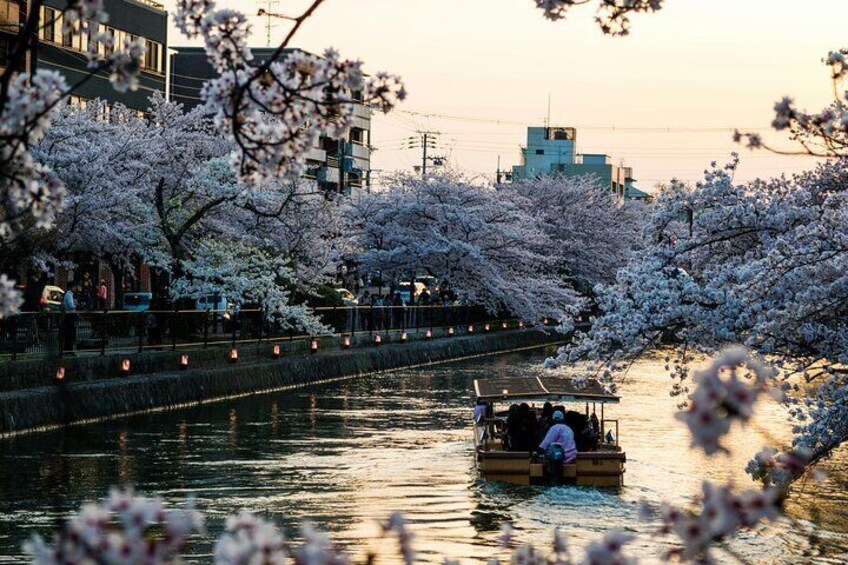 Private Kyoto Customizable Day Tour with English Speaking Driver
