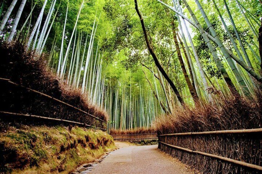 Private Kyoto Customizable Day Tour with English Speaking Driver