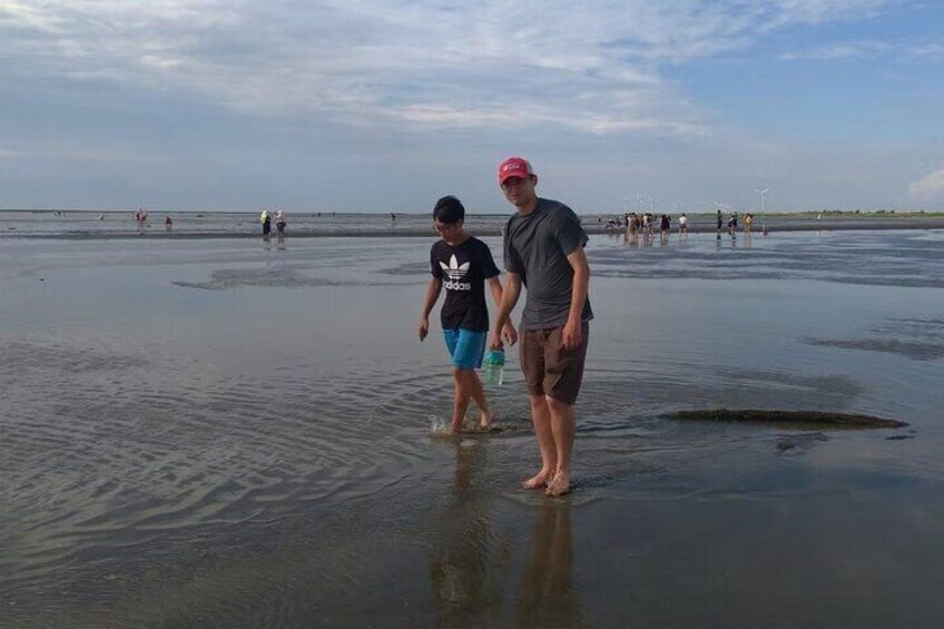 Go to a beach in the meddle of Taiwan and observe the intertidal organism.