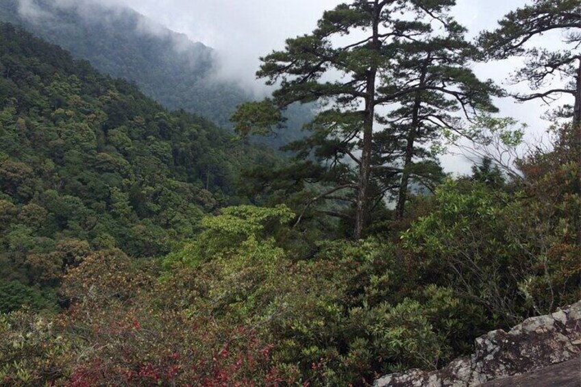 For outdoor people, strongly recommend you to climb a mountain in Taichung to see and feel the nature. 