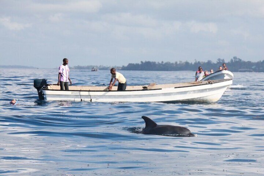 Mnemba Island Snorkeling and Swimming with Dolphins