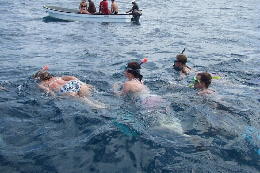 Mnemba Island Snorkeling and Swimming with Dolphins