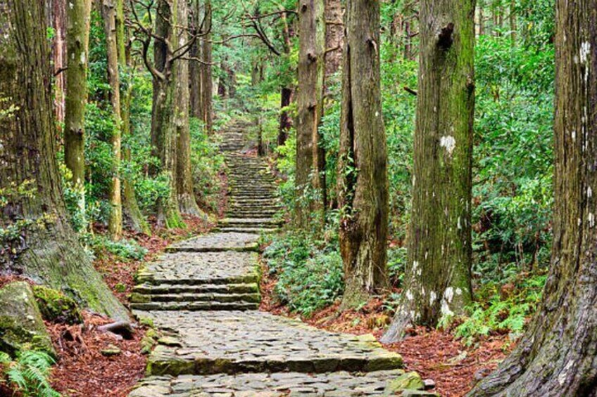 Kumano Kodo Private Guided Tour from Kumano Hongu Taisha