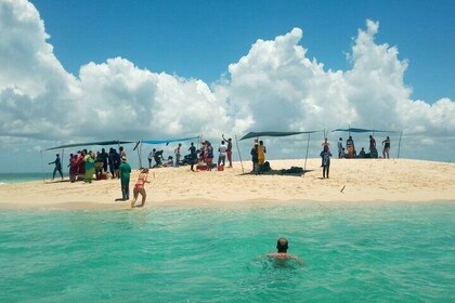 Combined Tour to Prison Island and Nakupenda Sandbank