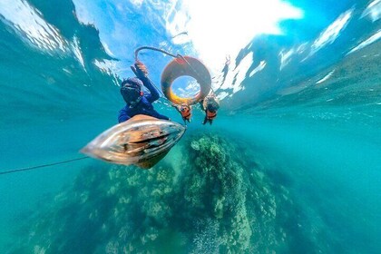 Guided Snorkeling Adventure