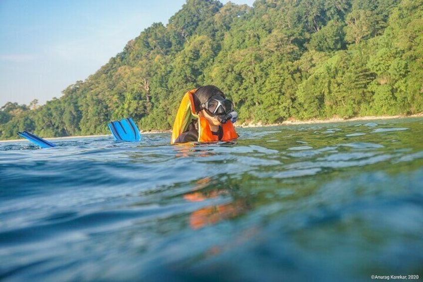 Guided Snorkeling Adventure