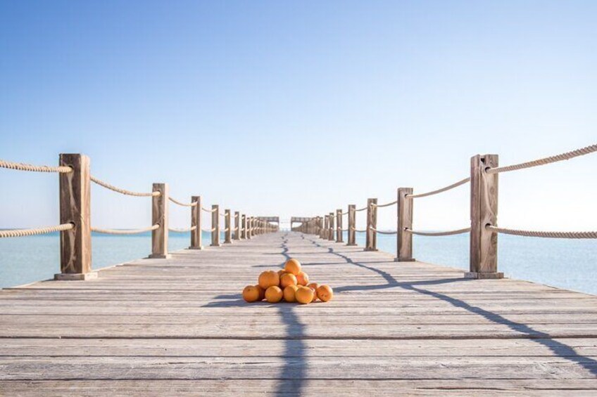 Orange Island sea trip & Turkish bath & transfers - Hurghada.
