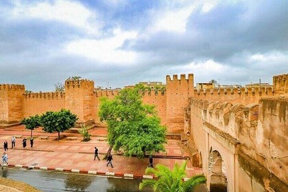 Taroudant and Tiout Oasis Guided Day Trip with Lunch