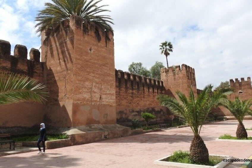 Taroudant and tiout day trip 