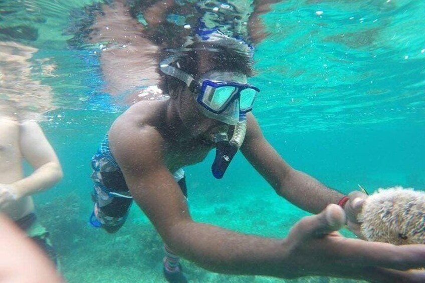 Learn about sea life and how to handle it