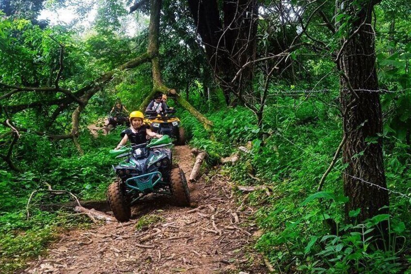 Get ready to experience an adventure with both road and off-road jungle terrain on an ATV tour lasting 1 hour and the captivating Sticky Waterfall!