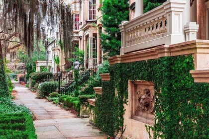 Savannah Scavenger Hunt visite libre