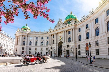 Skip-the-Line Empress Sisi Museum, Hofburg & Gardens Tour