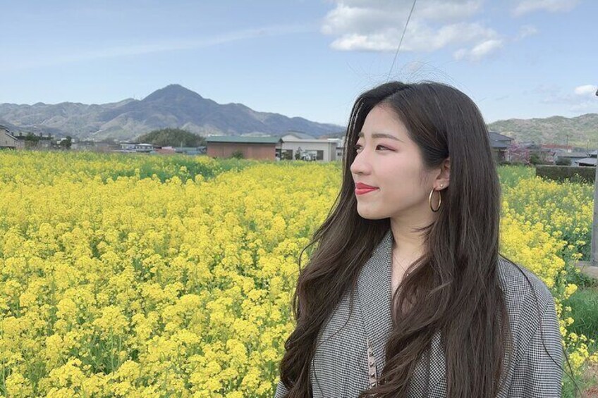 Beautiful nature