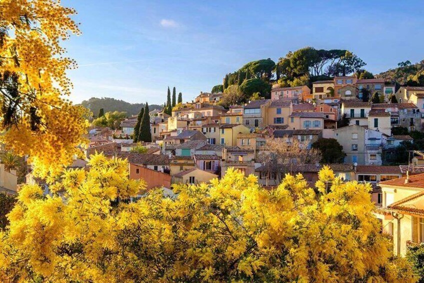 Private Provence Getaway with Wine Tasting from Toulon