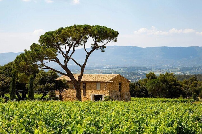 Private Provence Getaway with Wine Tasting from Toulon