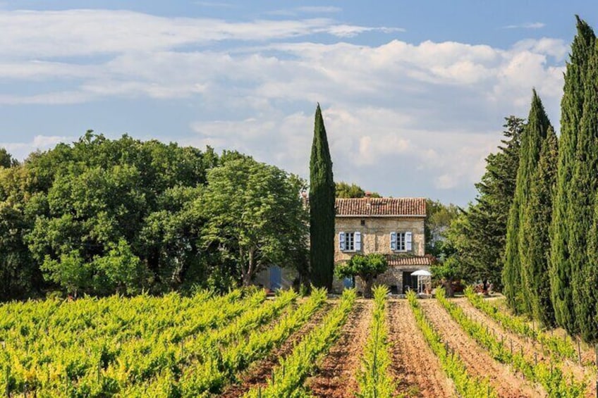 Private Provence Getaway with Wine Tasting from Toulon